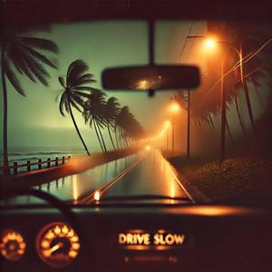 Drive Slow