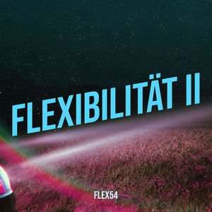 Flexibilität II