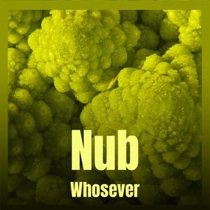 Nub Whosever