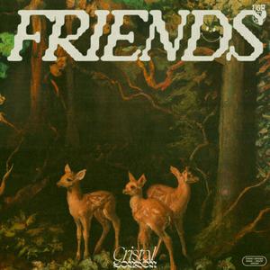 FRIENDS (feat. Saint Olivier & Adrian Plantz) [Explicit]