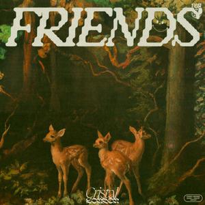 FRIENDS (feat. Saint Olivier & Adrian Plantz) (Explicit)