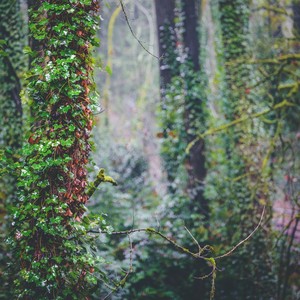 Quick Guided Meditation