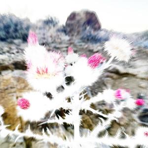 SALINE (feat. Samosthated & DJ Ess) (Explicit)