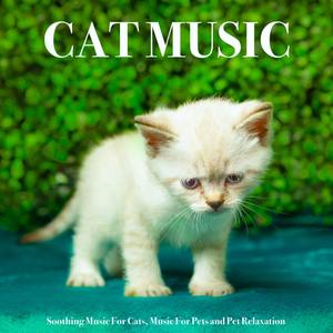 Cat Music - Background Sleeping Music For Cats