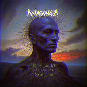 INAMOVIBLE (Explicit)