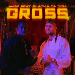 Gross (Explicit)