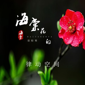 海棠花的语轻寒