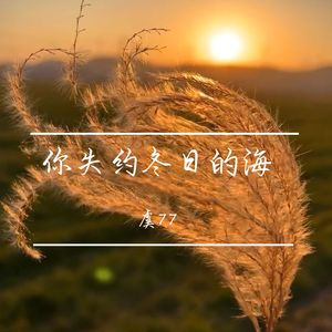 你失约冬日的海