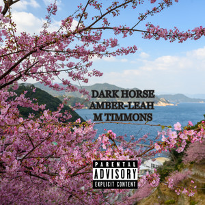 lets go - bleaker/amber-leah m timmons - qq音乐-千万正版音乐