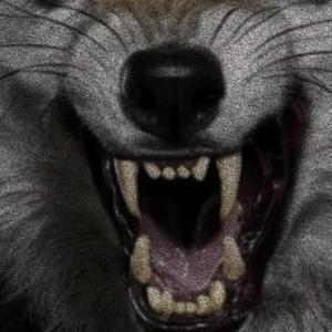 boca del lobo (feat. Hunter)