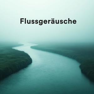 Flußgeräusche