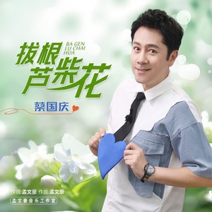拔根芦柴花