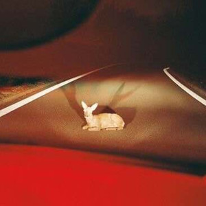 vanish the fears that burden you