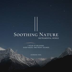 1 Hour of Relaxing Sleep Music and Night Sounds