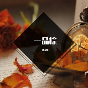一品粽-洛天依