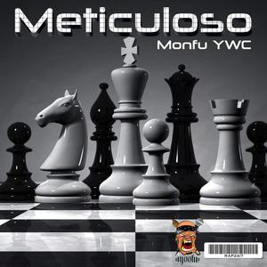 Meticuloso (feat. Vynilingus)