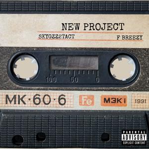 NEW PROJECT (feat. skygzz2tact) (Explicit)
