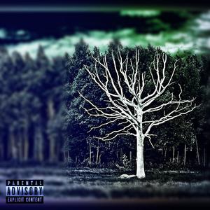 WHITE TREES (Diss Song) [Explicit]