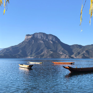 惊蛰柳书-柯子禾