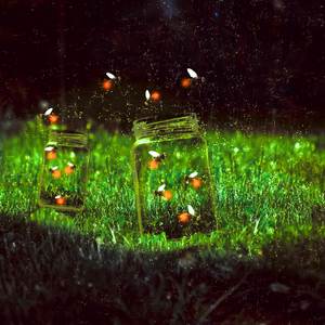 Opalite-Peaceful Noise