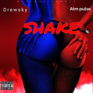 SHAKE (feat. Atm Pulse) (Radio Edit)