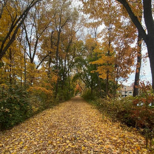 LXD - HOPE (feat. DJ Amir H.K|Explicit)