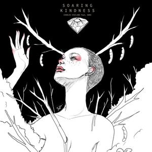Soaring Kindness(feat. NDNI) (Explicit)