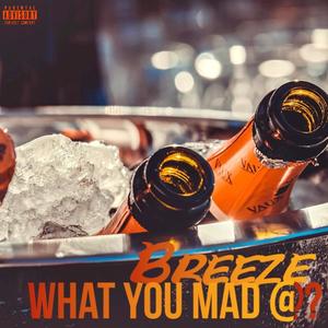What You Mad At ? (Freestyle) (Explicit)