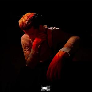 Grey Goose, Birds, and Bourbon (feat. Trippy Kel) (Explicit)