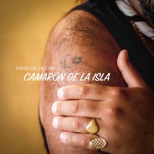 Camarón de la Isla