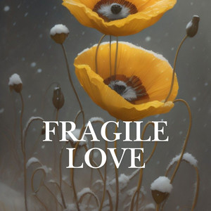 Fragile Love