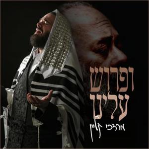 Ifrois Uleinu (feat. Mordechai Klein)