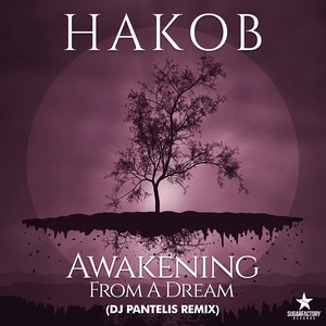 Awakening from a Dream (DJ Pantelis Remix)