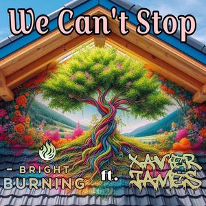 We Can't Stop (feat. Xavier James) (Explicit)