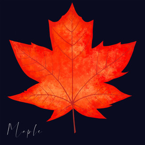 Maple