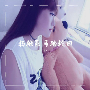 扬鞭策马踏轮回