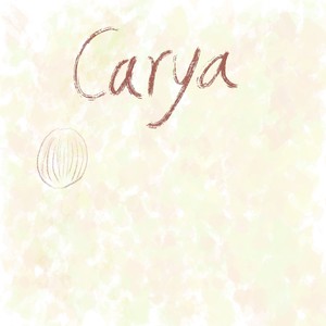 Carya