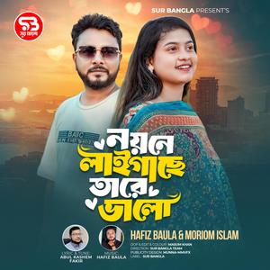 Noyone Laigache Tare Valo 2