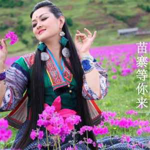 苗寨等你来