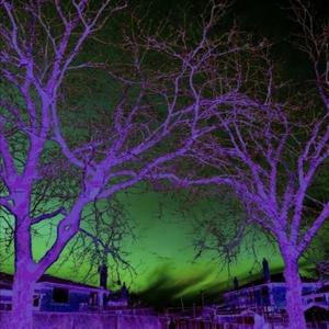 Cash (feat. SnowsXo) (Explicit)