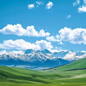 街角的暖咖啡 (扬琴)