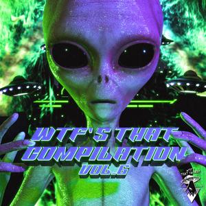 Wtf's That Compilation Vol. 6 (Explicit)