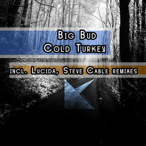 Cold Turkey (Lucida remix)