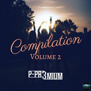 P-Pr3mium Compilation, Vol. 2 (Mixed by P-Pr3mium)