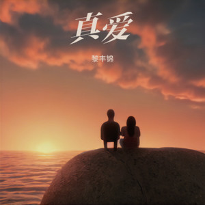 今晚没借口封面