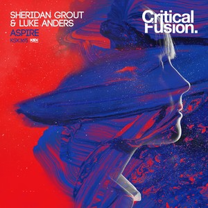 Aspire (Original Mix)