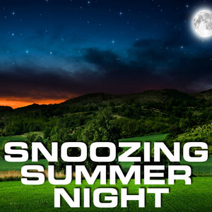 Snoozing Summer Night