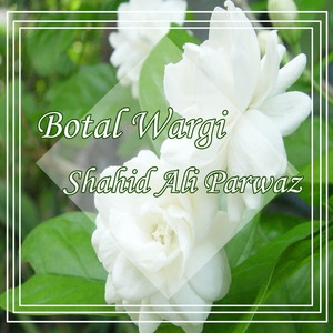 Botal Wargi