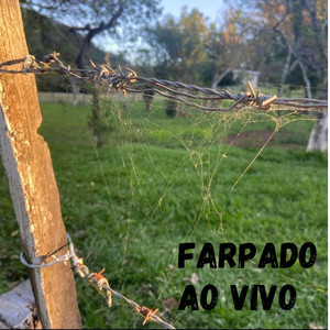 Farpado (Ao Vivo, 8º Acordes do Pampa em Canção, Rosário do Sul, 2024) (Ao Vivo)