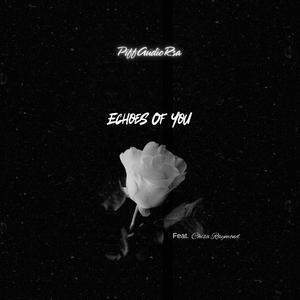Echoes Of You (feat. Chisa Raymond)